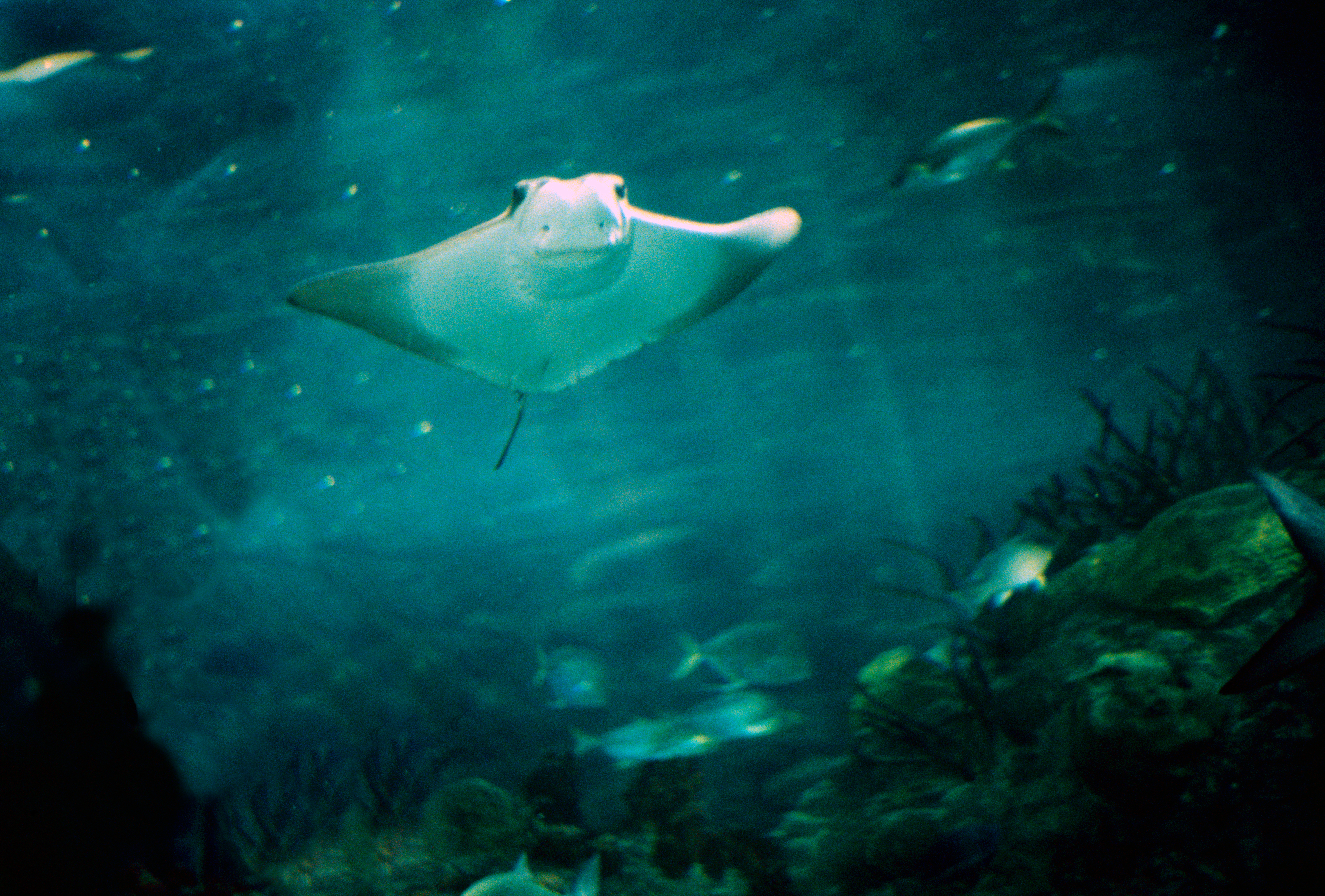 Wednesday, <br>July 15th